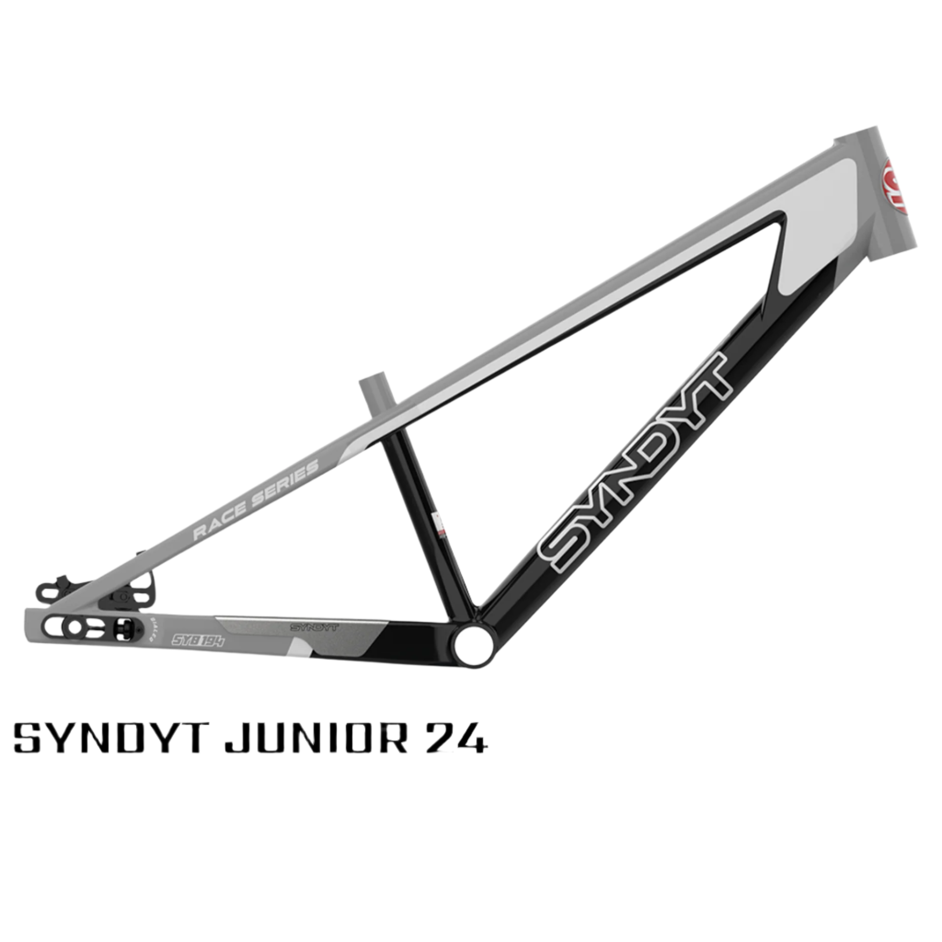 SYB 194 19 TT Junior 24 BMX Frame