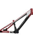 SYB 224: 22” TT Pro 24 3XL BMX Frame