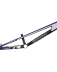 SYB 225: 22.5” TT Pro 4XL BMX Frame