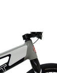 SYB 220: 22” TT Pro 3XL BMX Frame