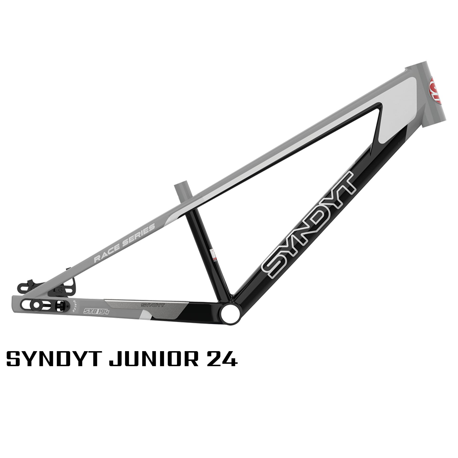 SYB 194: 19” TT Junior 24 BMX Frame