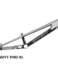 SYB 210: 21” TT Pro XL BMX Frame