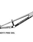 SYB 220: 22” TT Pro 3XL BMX Frame